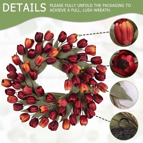 Wine Red Tulip Fall Wreath 24-Inch Front Door Decor - Fade-Resistant