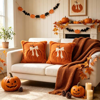 18x18 Inch Fall Pumpkin Pillow Covers Set of 2 - Autumn Thanksgiving Decor