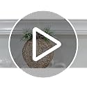 White Pinecone Christmas Ornaments Set - 4 Pack Rattan Thread Holiday Decor