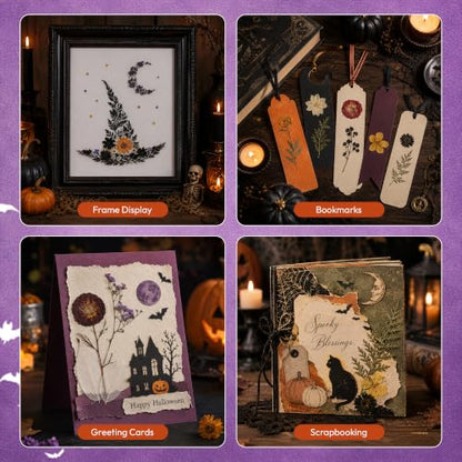 Halloween Dried Flowers for Crafts - Preserved Pressed Flowers Set, 100pcs