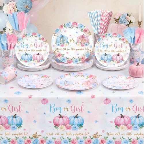 Fall Gender Reveal Party Supplies Set for 50 Guests - Pink & Blue Decoration
