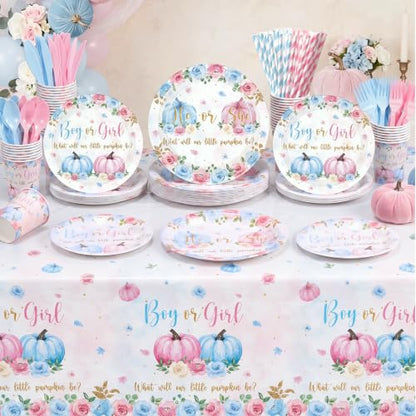 Fall Gender Reveal Party Supplies Set for 50 Guests - Pink & Blue Decoration