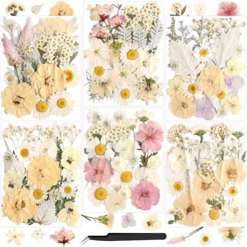 Boho Pressed Flowers Dried Florals for Scrapbooking Crafts & Home Décor - 120 PCS