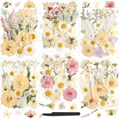 Boho Pressed Flowers Dried Florals for Scrapbooking Crafts & Home Décor - 120 PCS