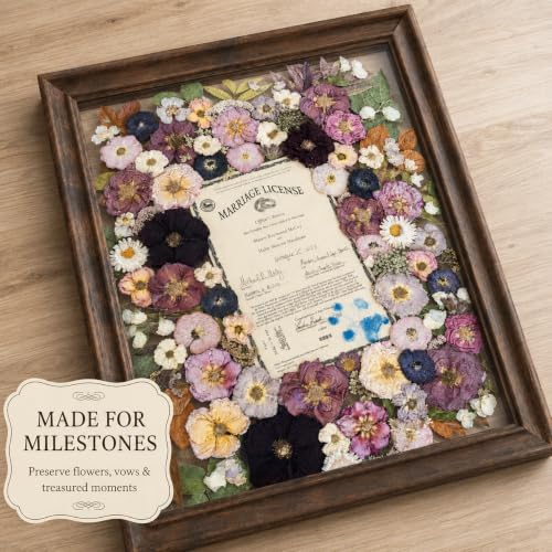 Appalachian Black Walnut Shadow Box Frame 18x24 Double UV Glass Floating Wall Decor