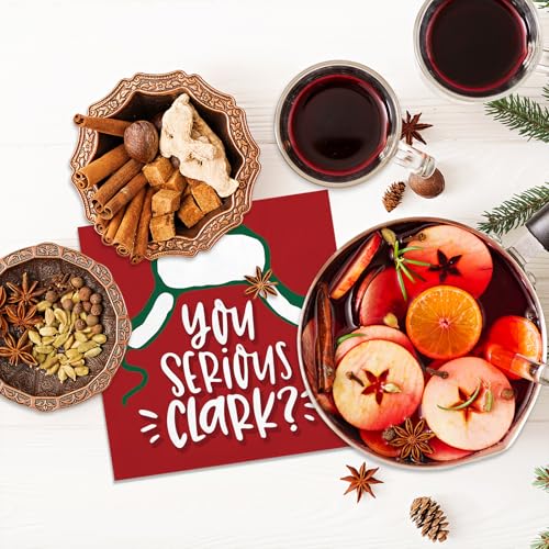 Christmas Vacation You Serious Clark Cocktail Napkins - 50 Pack, 5x5 Inch, Holiday Paper Party Supplies - Serious Variation