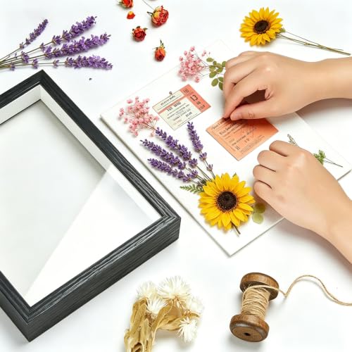 8x10 Deep Shadow Box Frame for Dried Flowers and Keepsakes - Black