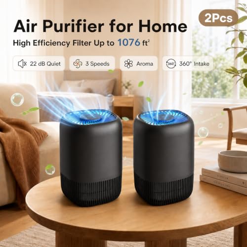Black 2-Pack Home Air Purifiers for Large Rooms, Pet Odors, Smoke, Pollen