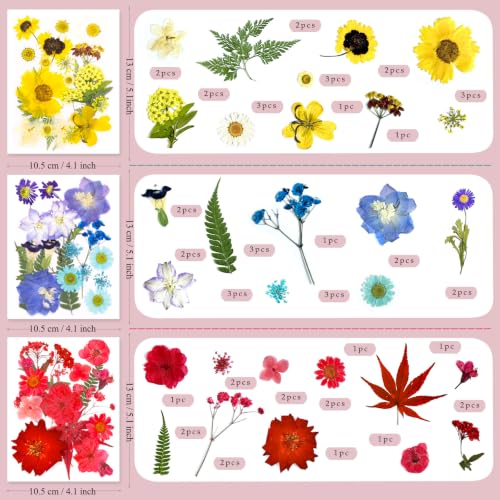 176Pcs Dried Flowers and Leaves for Resin Crafts - Pressed Natural Botanicals