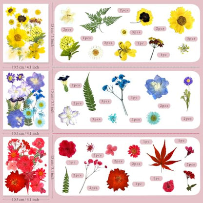 176Pcs Dried Flowers and Leaves for Resin Crafts - Pressed Natural Botanicals