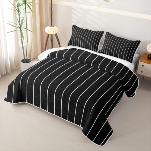 Queen Black & White Geometric Quilt Set - Modern Farmhouse Bedspread with Lines