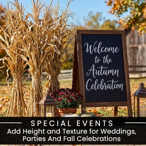Natural Dried Corn Stalks Bundle - 3 Ft for Fall Decor & Harvest Displays