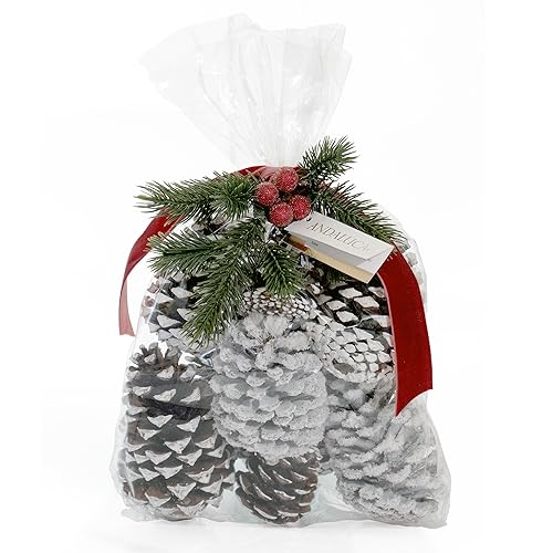 ANDALUCA Frosted Pinecone Vase Fillers - Scented Holiday Decor, 1 Bag