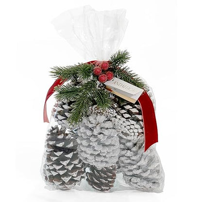 ANDALUCA Frosted Pinecone Vase Fillers - Scented Holiday Decor, 1 Bag