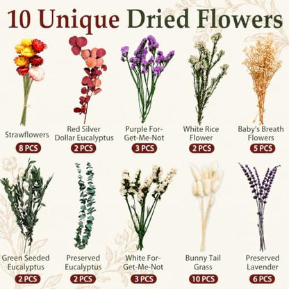 Natural Dried Flower Bouquet for Vase Decor and Crafts - 43 Stems