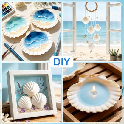 20PCS Sea Shells for Crafts with Holes - 2-3 Inch Natural Scallop Shells