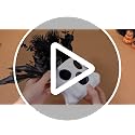 Halloween Ghost Flower Vase Planter with Black Artificial Plant - Variation of Ghost