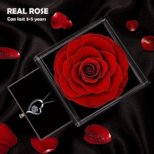 Eternal Rose Gift Box with Necklace - Red Preserved Rose & Silver Heart Pendant