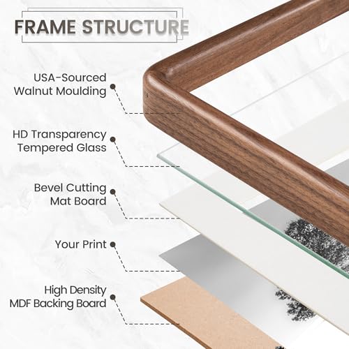 Rounded Walnut Photo Frame 12x16 Inches - 2 Pack, Solid Hardwood with Anti-Scratch Glass