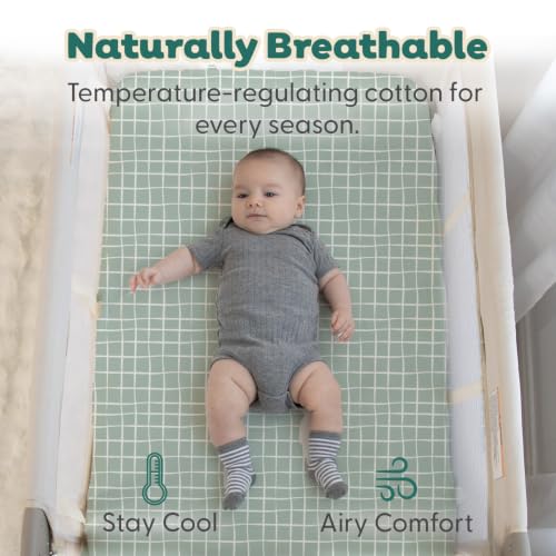 Organic Cotton Baby Pack & Play Sheets - Dino Baby Nursery Bedding - 2 Pack