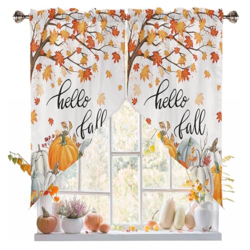 Pumpkin Fall Maple Leaves Swag Valance Curtains for Kitchen & Bedroom - 2 Panels 56W x 36L, Pumpkin04 Variation