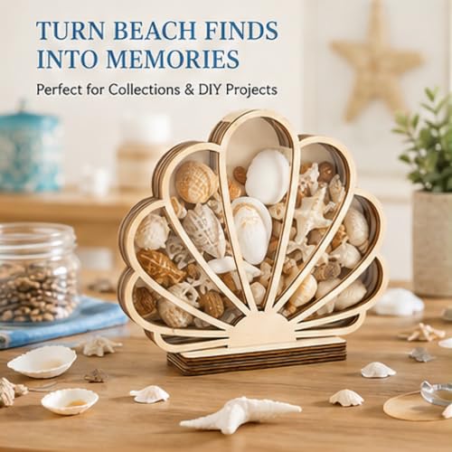 Wooden Seashell Shadow Box Display Stand Coastal Decor