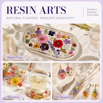 Multi-Color 800 PCS Dried Pressed Flowers for Resin Crafts and DIY Projects