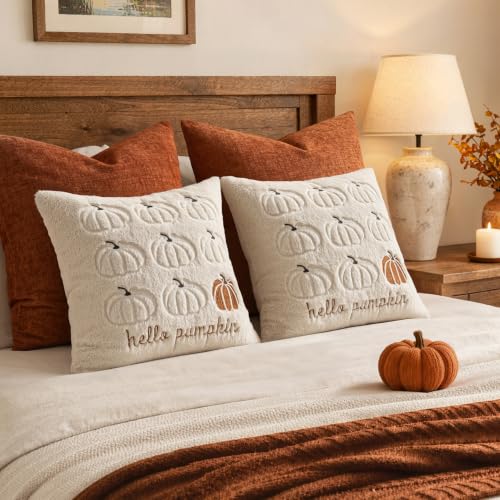 Fall Pumpkin Pillow Covers 18x18 Beige Set of 2 - Harvest Decor