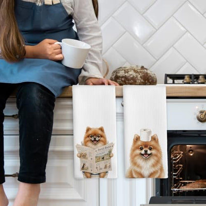 Pomeranian Bathroom Hand Towels Set of 2 - 16x24 Inches, Color 64
