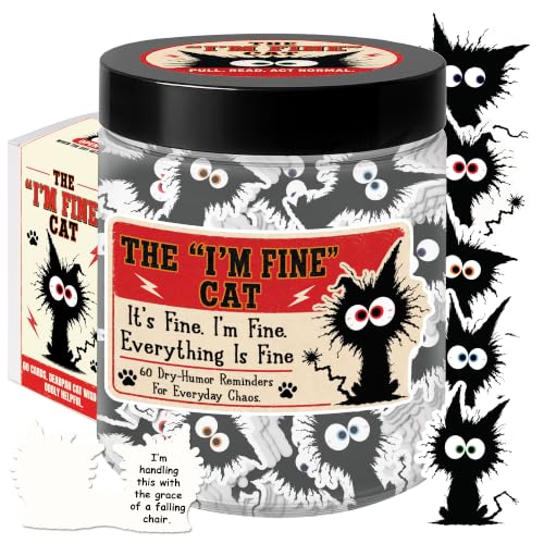 I'm Fine Black Cat Affirmation Jar - Funny Sarcastic Humor Desk Decor Gift