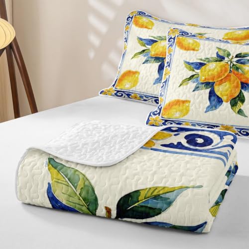 Manfei Kids Quilt Set Full Size - Orange Blue Lemon Citrus Farmhouse Bedding with Pillow Shams - All Season
