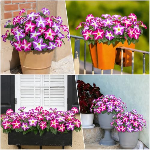 Artificial Petunia Flowers for Outdoors - Fuchsia 4 Pack