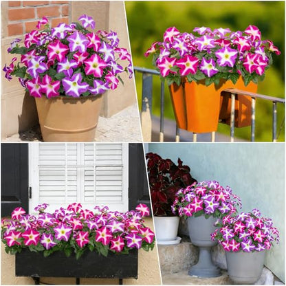 Artificial Petunia Flowers for Outdoors - Fuchsia 4 Pack