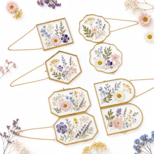 Pressed Flower Glass Frame Set 5Pcs - Scalloped Gold Wall Hanging Frames