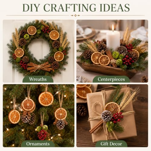 DIY Citrus & Cinnamon Potpourri Kit for Home Fragrance & Decor
