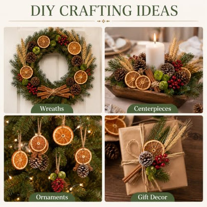 DIY Citrus & Cinnamon Potpourri Kit for Home Fragrance & Decor