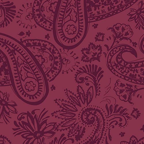 Vera Bradley Women's Recycled Cotton Indoor/Outdoor Throw Blanket, Paisley Jamboree Cranberry - Recycled Cotton, One Size