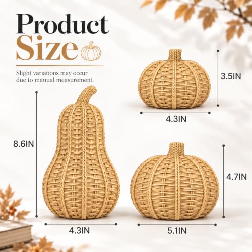 Rustic Fall Wicker Pumpkin Set - 3 Decor Pieces for Autumn & Thanksgiving