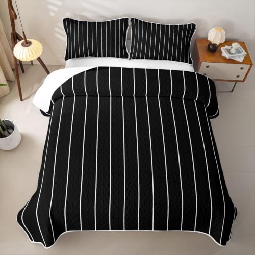 Queen Black & White Geometric Quilt Set - Modern Farmhouse Bedspread with Lines