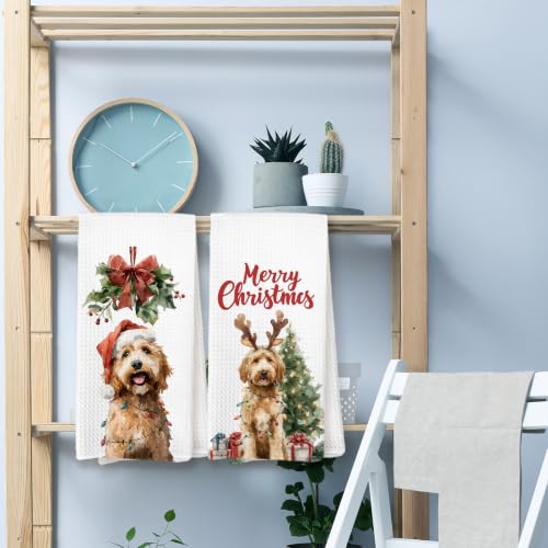 Christmas Goldendoodle Kitchen Dish Towels Set of 2 - Goldendoodle-4