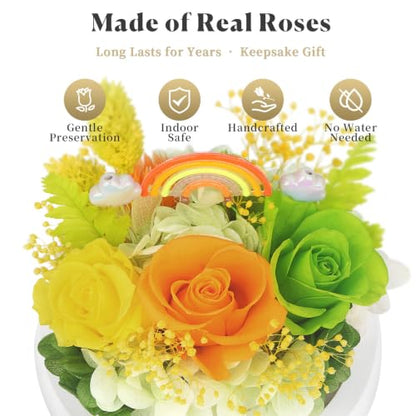 Rainbow Preserved Roses in Glass Dome with LED Nightlight - Aesthetic Gift for Her