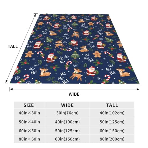 Christmas Santa Claus Throw Blanket Soft Cozy Plush Fleece 60x50 Inches - Holiday Decor