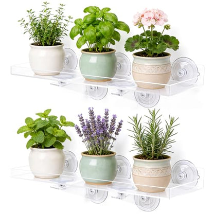 15.7 x 5.9 Inch Heavy Duty Suction Cup Window Plant Shelf - 2 Pack