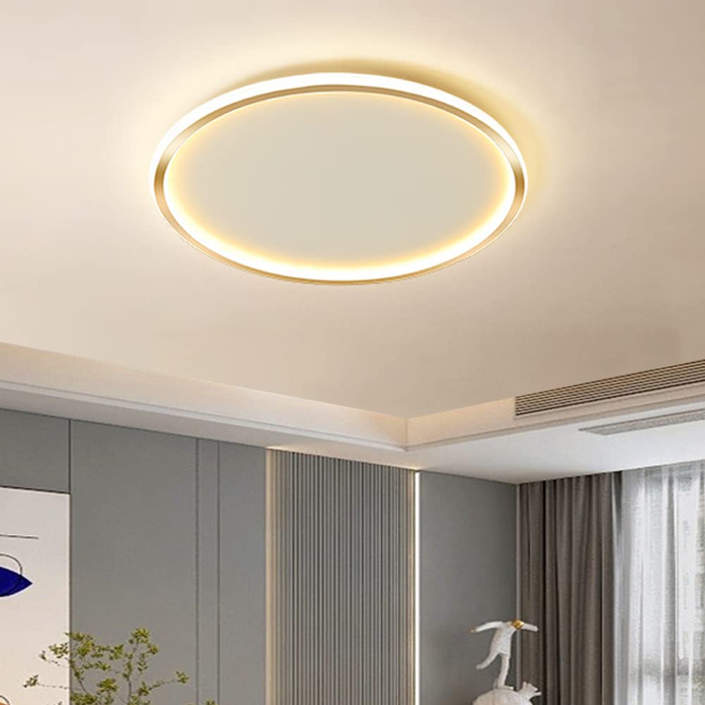 Dimmable LED Ceiling Light Fixture Flush Mount,24" Modern Round Recessed Ceiling Lamp with APP Adjustment,Gold 66W Close to The Ceiling Lighting Living Room Bedroom,3000K-6000K