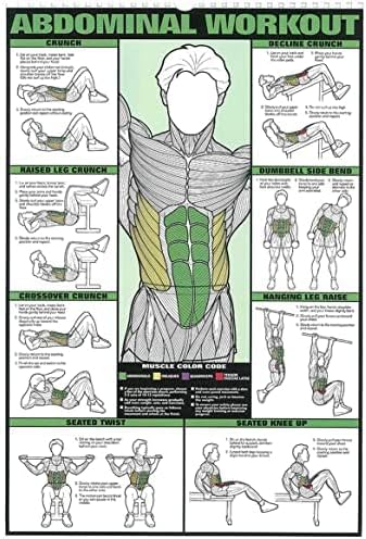 Skiennix 6PCS Workout Chart Posters - Motivational Gym Decor for Home | Fitness Exercise Charts for Triceps, Shoulders, Legs, Back, Chest, Abs