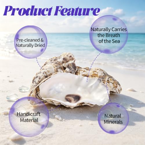 Natural Concave Oyster Shells for Crafts, Decor & Jewelry - 20PCS