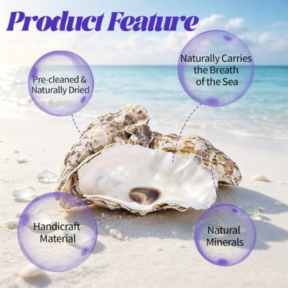 Natural Concave Oyster Shells for Crafts, Decor & Jewelry - 20PCS