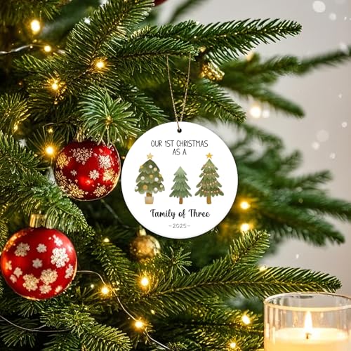 Baby First Christmas Ornament 2025 Family of Three Holiday Decoration
