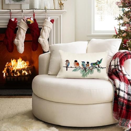 Christmas Bird Pillow Cover 12x20 Teal Winter Home Decor - Pack of 1