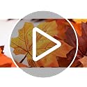 Brown Fall Maple Leaf Garland 11.8FT 2-Pack Autumn Foliage Decor